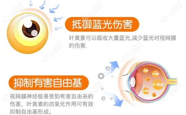 叶黄素对眼睛有好处