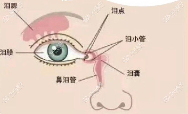 爱尔眼科医院做泪道堵塞哪个医生好www.360tulou.com