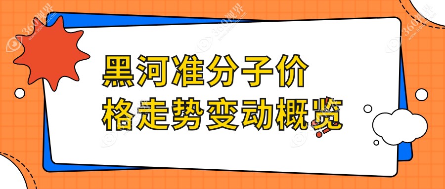 黑河准分子价格走势变动概览