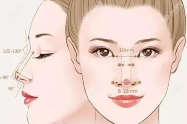 耳软骨隆鼻和肋骨隆鼻哪个好?鼻尖妈生感VS鼻梁挺拔一次说清效果区别!