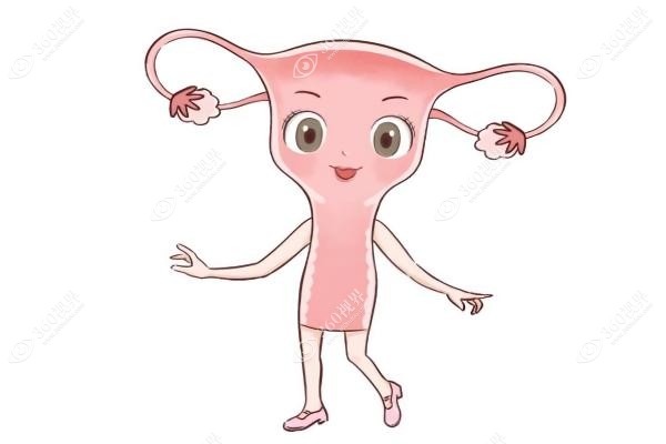 半岛私密热玛吉多久出效 果