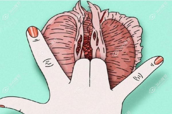 女性私密整形线上问诊.jpg