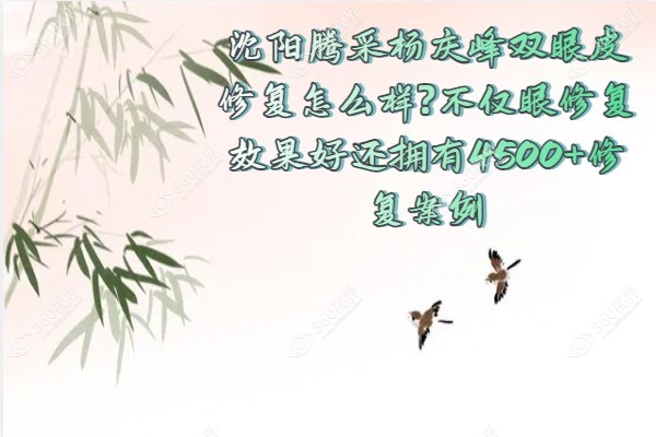 沈阳腾采杨庆峰双眼皮修复怎么样?不仅眼修复效果好还拥有4500+修复案例