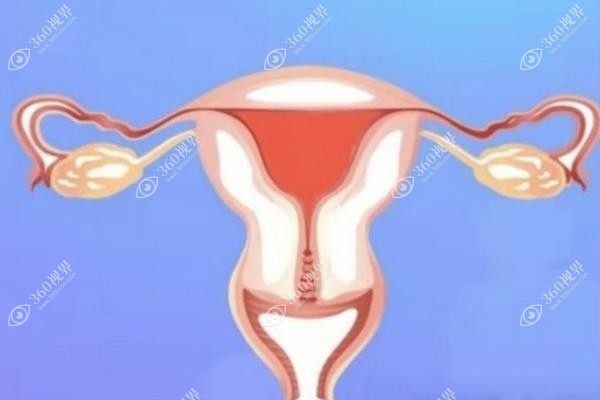 李峰永做手术的口碑评价：私密整形案例显示紧缩术后紧致如初维持5年/收费不贵