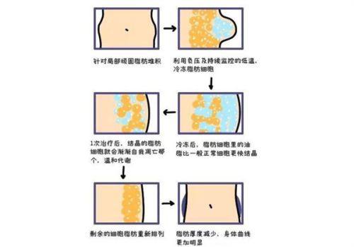 上海市东方医院整形外科