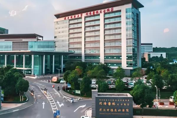 武汉同济张继强医生怎么样?拥有20多年经验/鼻子效果自然度高/分享成功案例