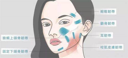 re2o胶原蛋白和丽珠兰区别：揭秘两者真实效果及功效与作用！ 