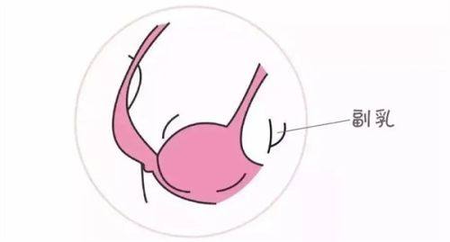 谢活生