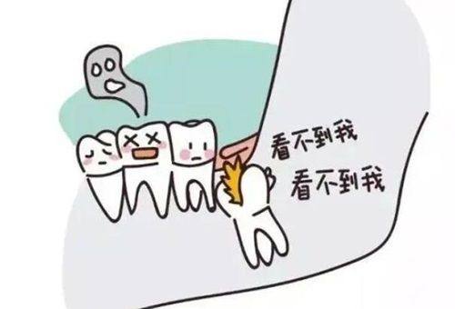 二、找和昆明竹子口腔医院矫正牙齿价目表相关且热度高的相关内容www.360tulou.com/