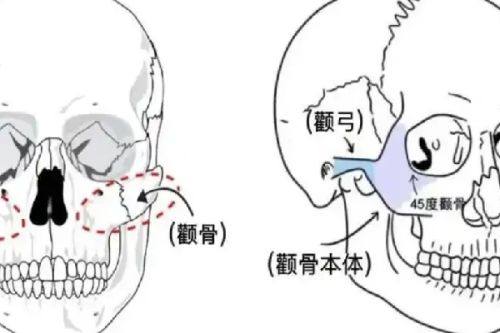 王明利博士靠谱吗？自体脂肪填充技术精湛收费合理，患者公认效果自然持久值得信赖